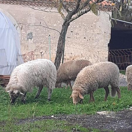 Maison de campagne à la ferme Pillac Esterno foto