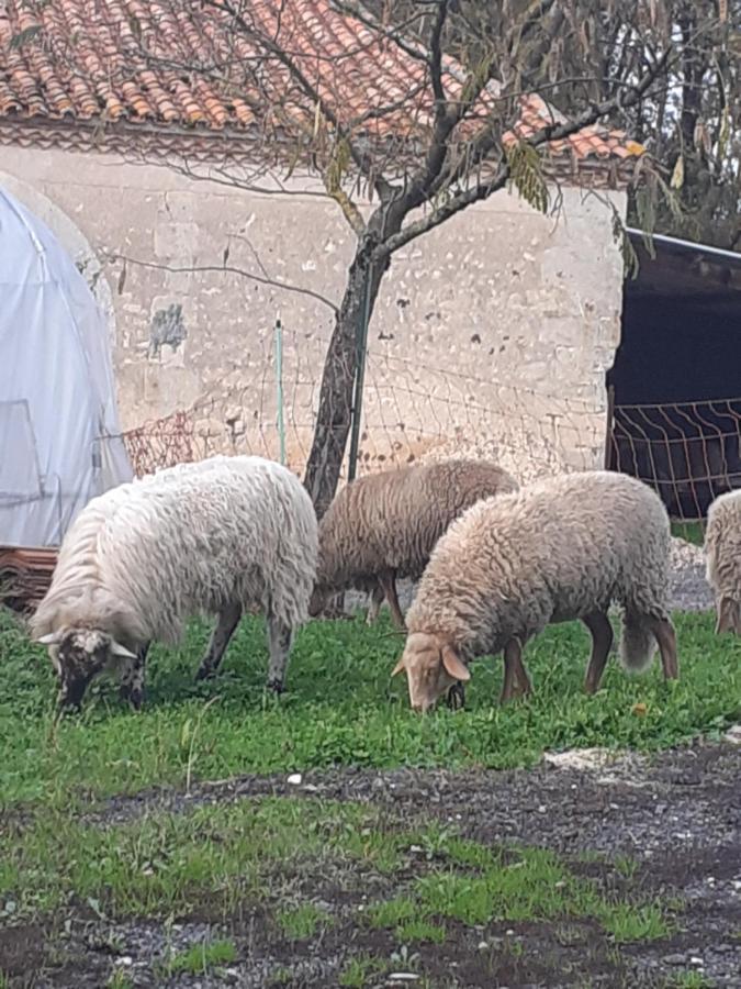 Maison de campagne à la ferme Pillac Esterno foto